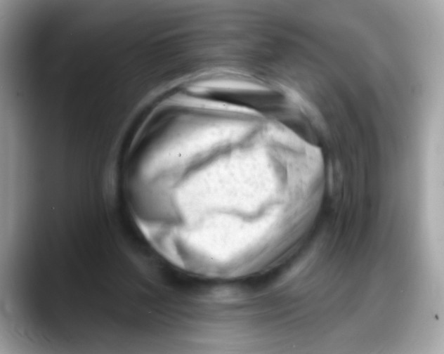 X0000088040204200706011330