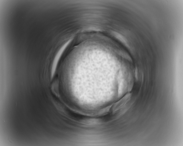 X0000088040205200706011330