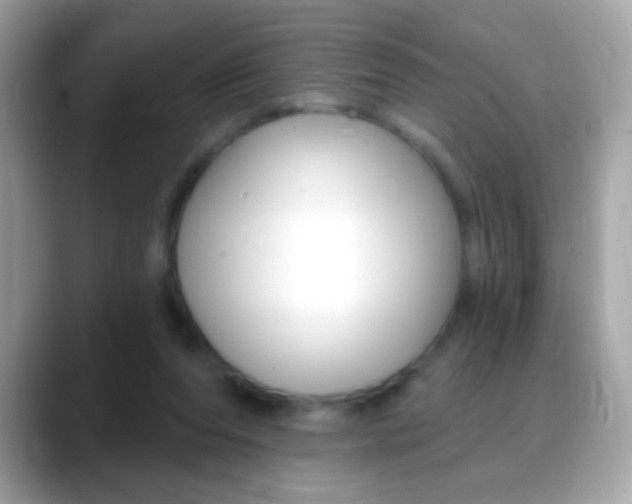 X0000088040208200706011330