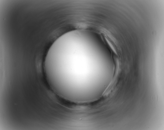 X0000088040209200706011330