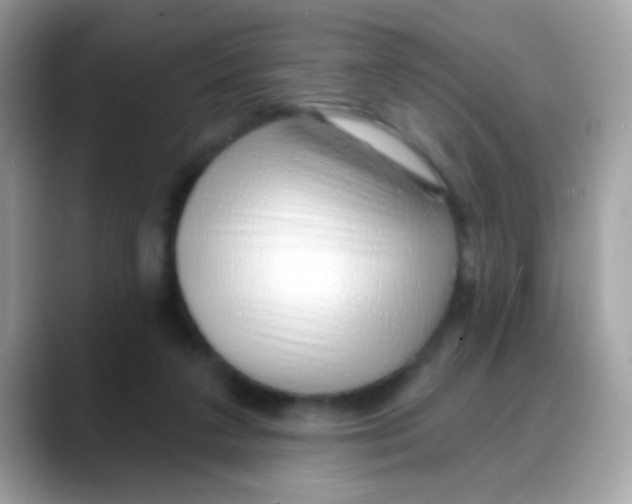 X0000088040211200706011330