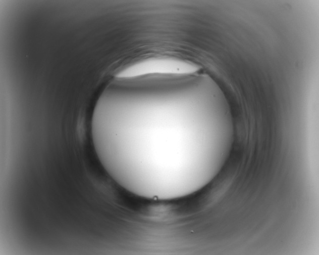 X0000088040216200706011330