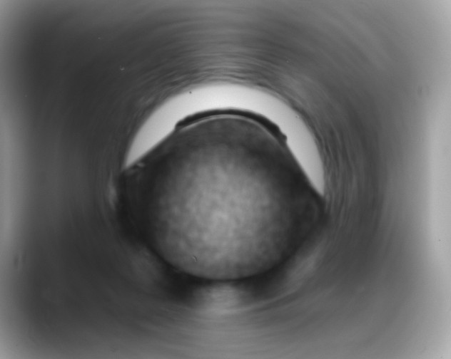 X0000088040219200706011330