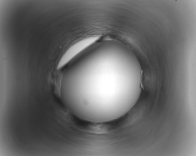 X0000088040221200706011330