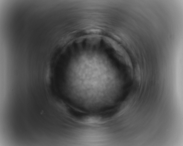 X0000088040223200706011330