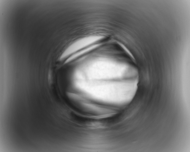 X0000088040224200706011330