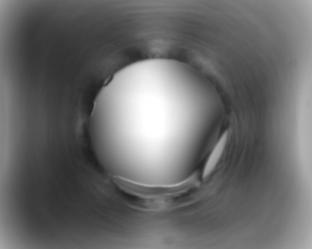 X0000088040225200706011330