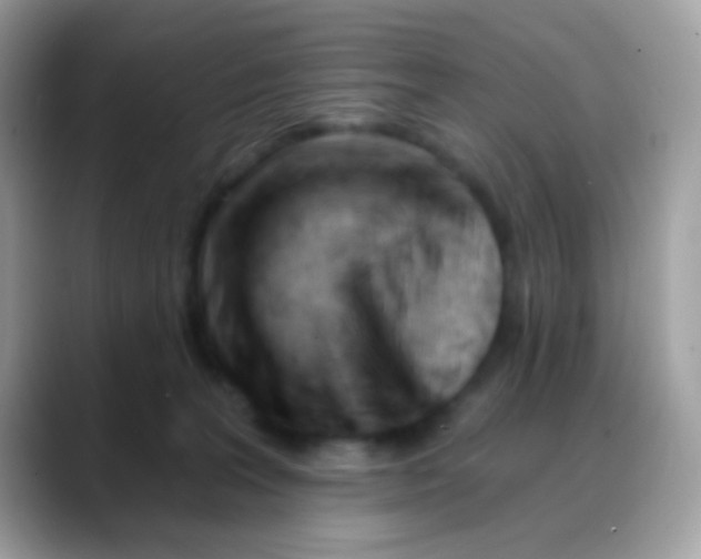 X0000088040227200706011330