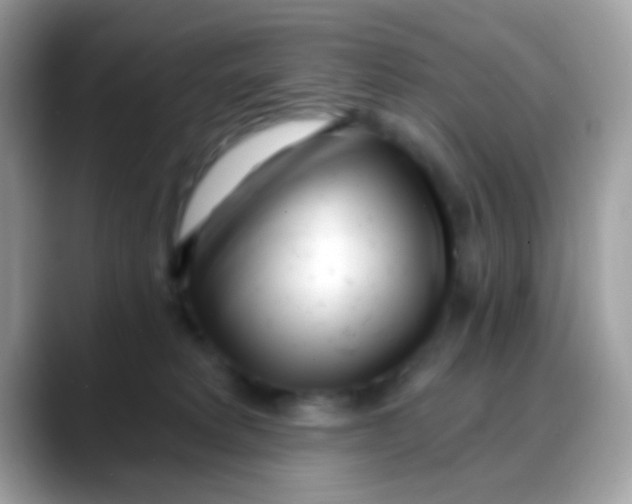 X0000088040229200706011330