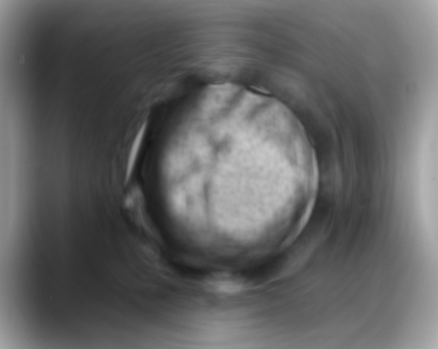 X0000088040231200706011330