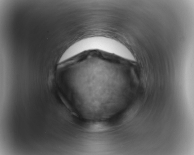 X0000088040235200706011330