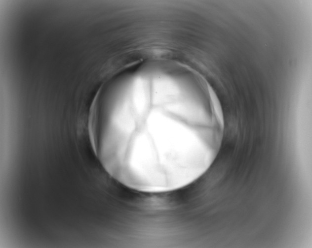 X0000088040236200706011330