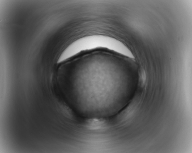 X0000088040239200706011330