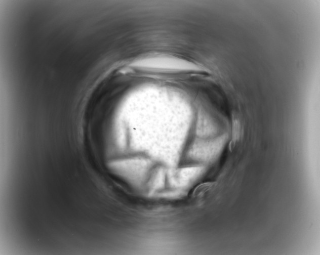 X0000088040243200706011329