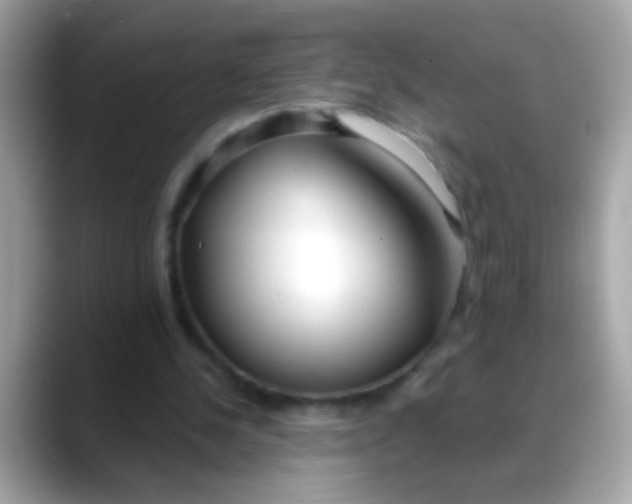 X0000088040244200706011329