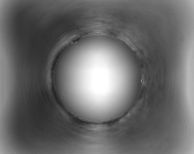 X0000088040245200706011329