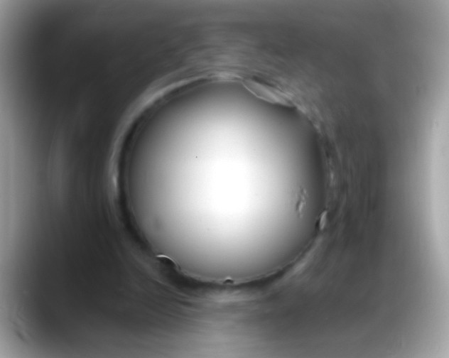 X0000088040246200706011329