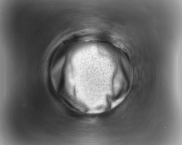 X0000088040247200706011329