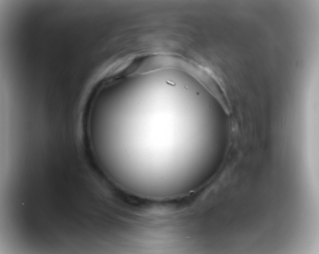 X0000088040248200706011329