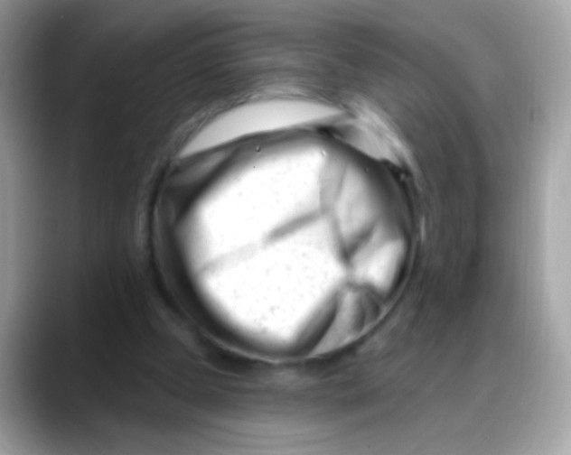 X0000088040249200706011329