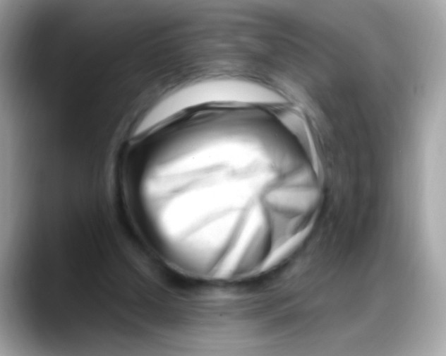 X0000088040250200706011329