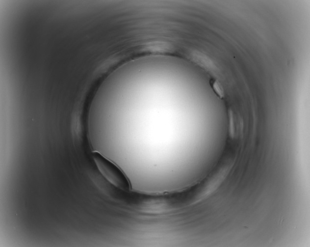 X0000088040252200706011329