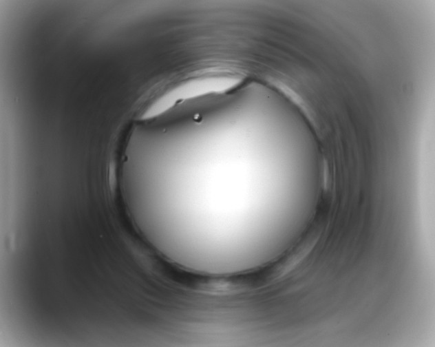 X0000088040253200706011329