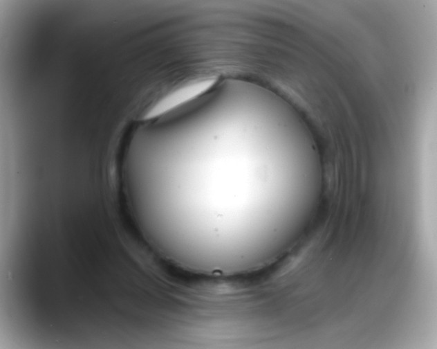 X0000088040254200706011329