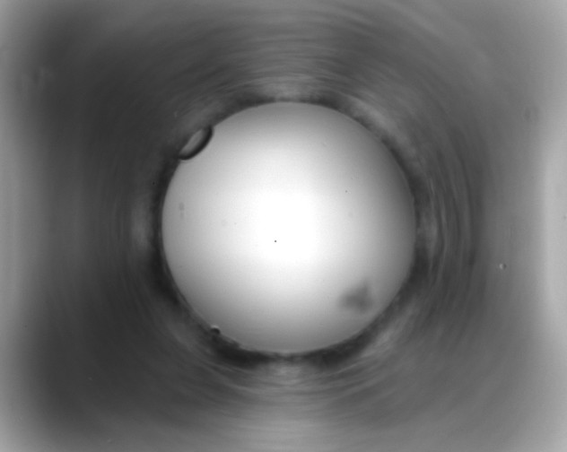 X0000088040255200706011329