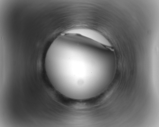 X0000088040256200706011329