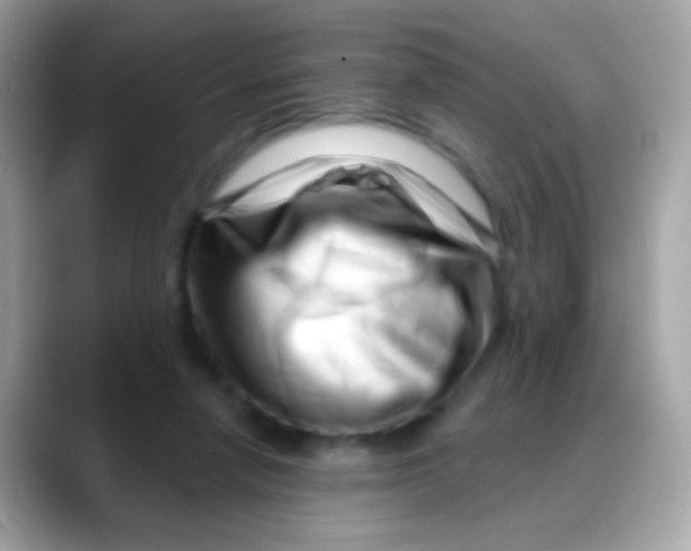 X0000088040258200706011329