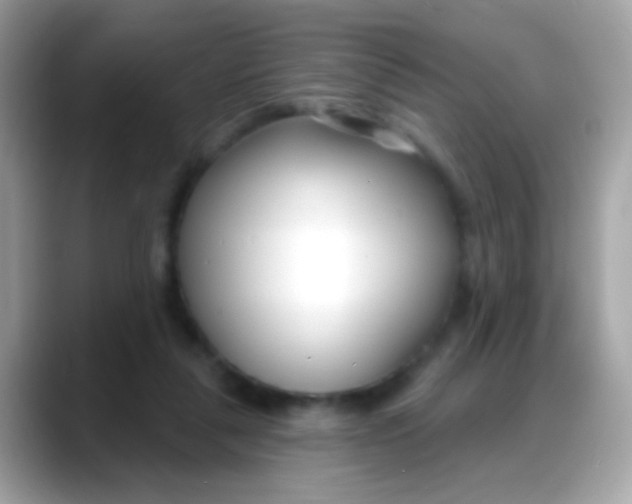 X0000088040259200706011329