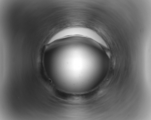 X0000088040260200706011329