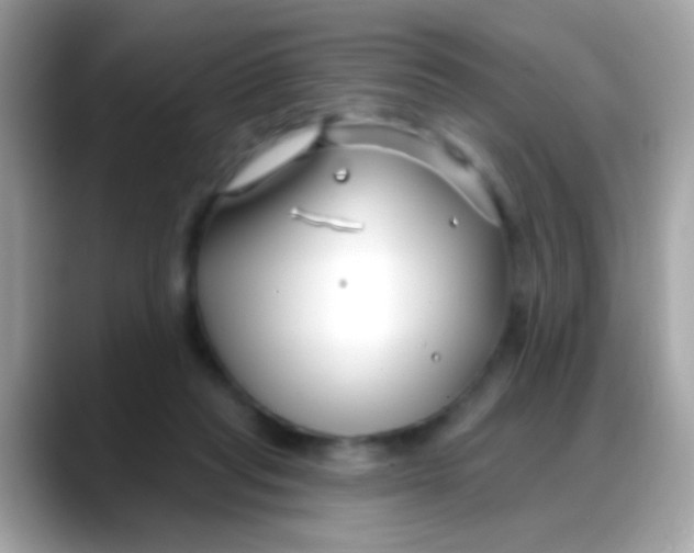 X0000088040261200706011329