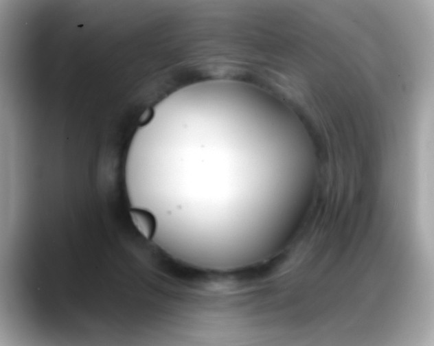 X0000088040263200706011329