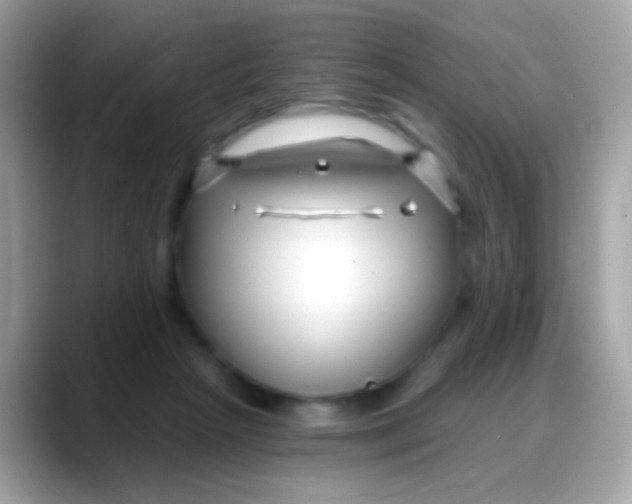 X0000088040265200706011329