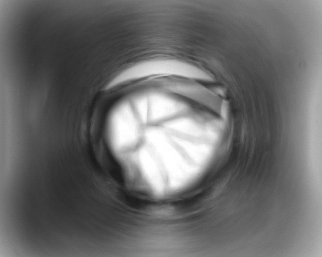 X0000088040266200706011329