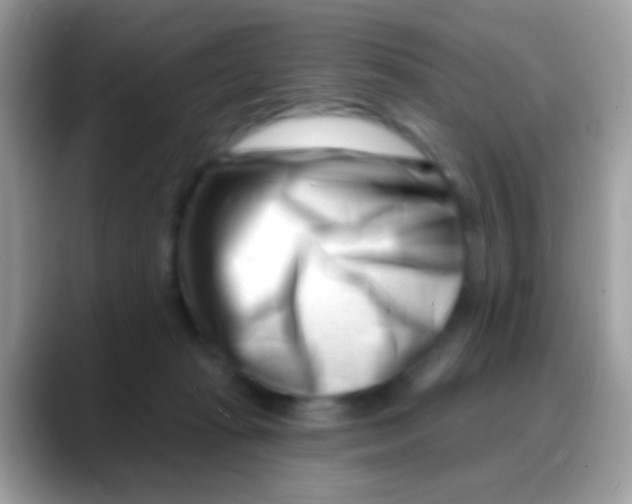 X0000088040269200706011329