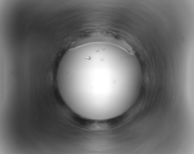 X0000088040270200706011329