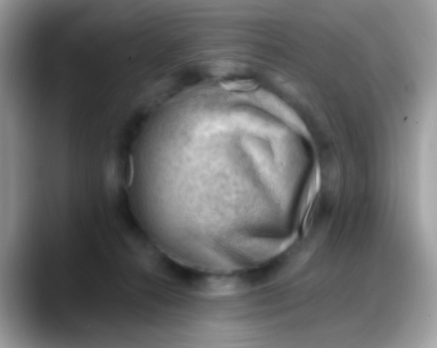 X0000088040272200706011329