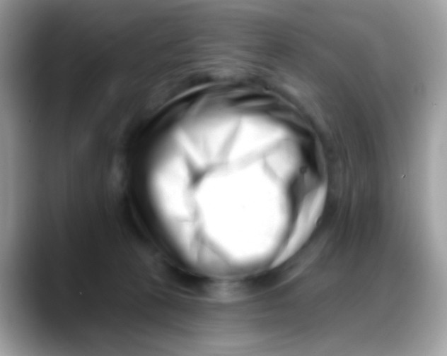 X0000088040273200706011329