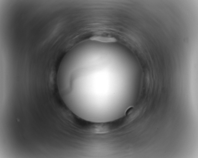 X0000088040275200706011329