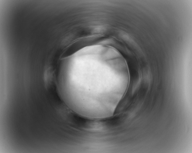 X0000088040276200706011329