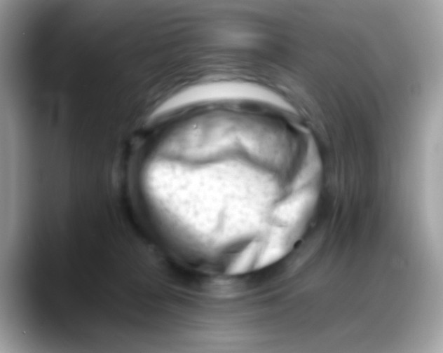 X0000088040277200706011329