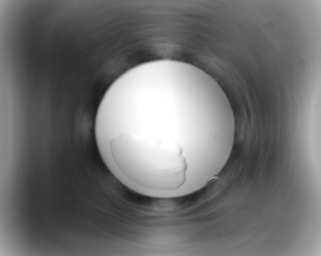 X0000088040279200706011329