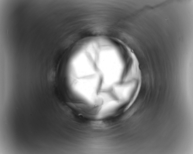 X0000088040281200706011329