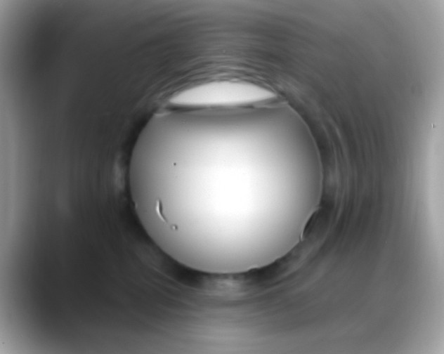 X0000088040282200706011329