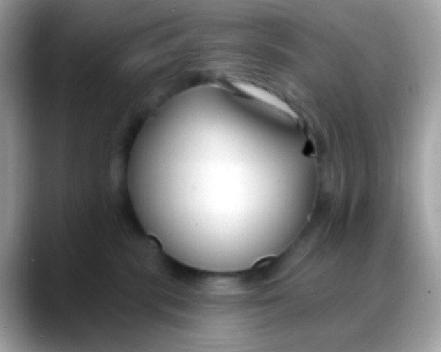 X0000088040283200706011329