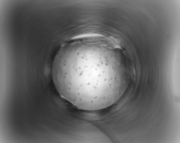 X0000088040284200706011329