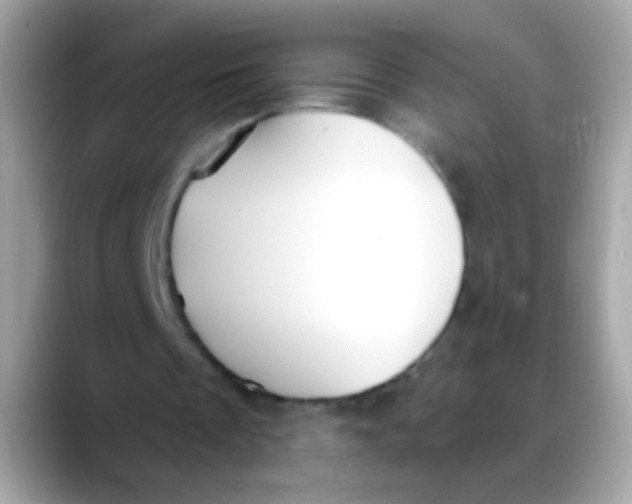 X0000088040289200706011329